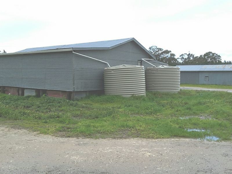 17150 Riddoch Highway, Penola SA 5277