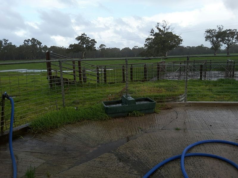 17150 Riddoch Highway, Penola SA 5277