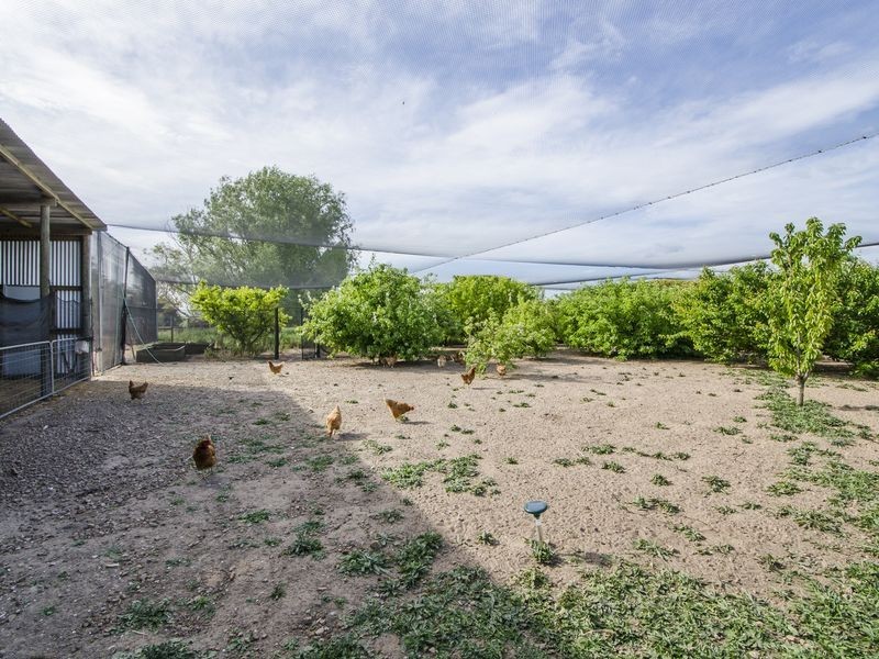 291 Poonada Road, Tantanoola SA 5280