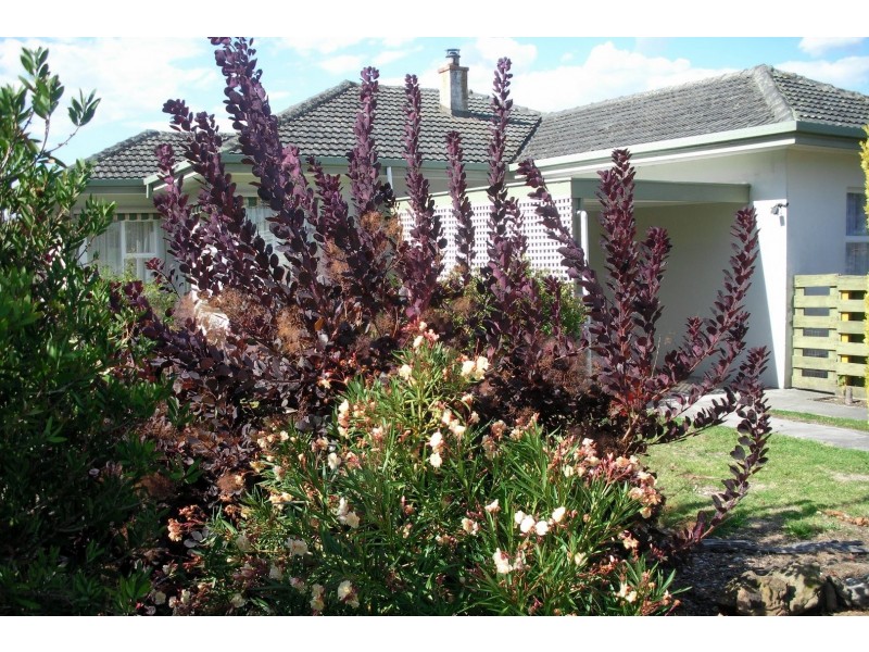 2 Swallow Drive, Mount Gambier SA 5290