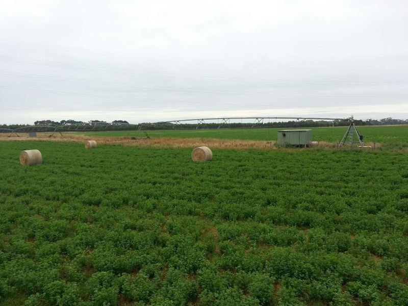 Clover Estate Rd Leech Rd & Red Hill Rd, Mingbool SA 5291