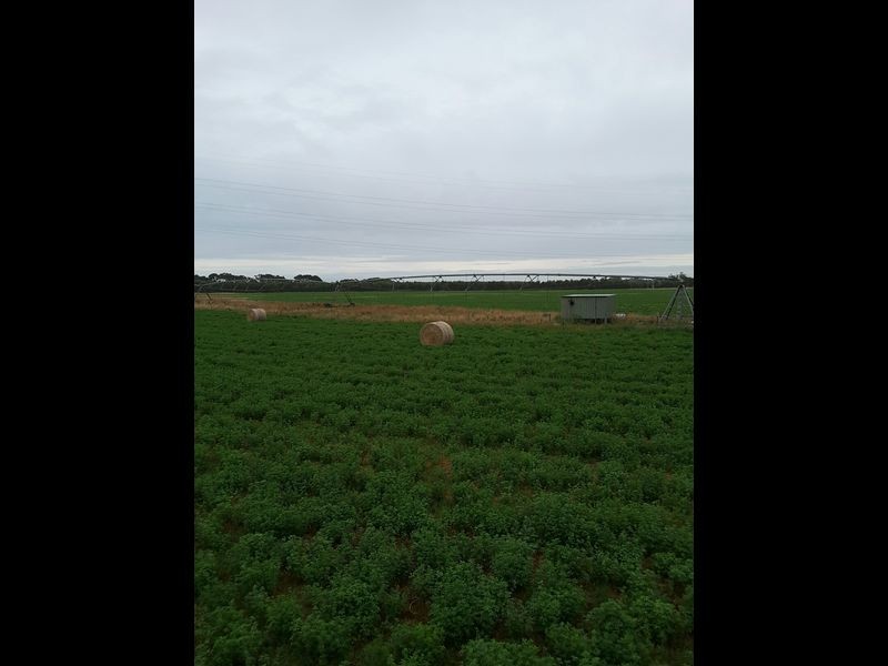 Clover Estate Rd Leech Rd & Red Hill Rd, Mingbool SA 5291