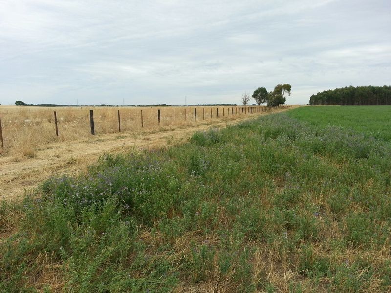 Clover Estate Rd Leech Rd & Red Hill Rd, Mingbool SA 5291