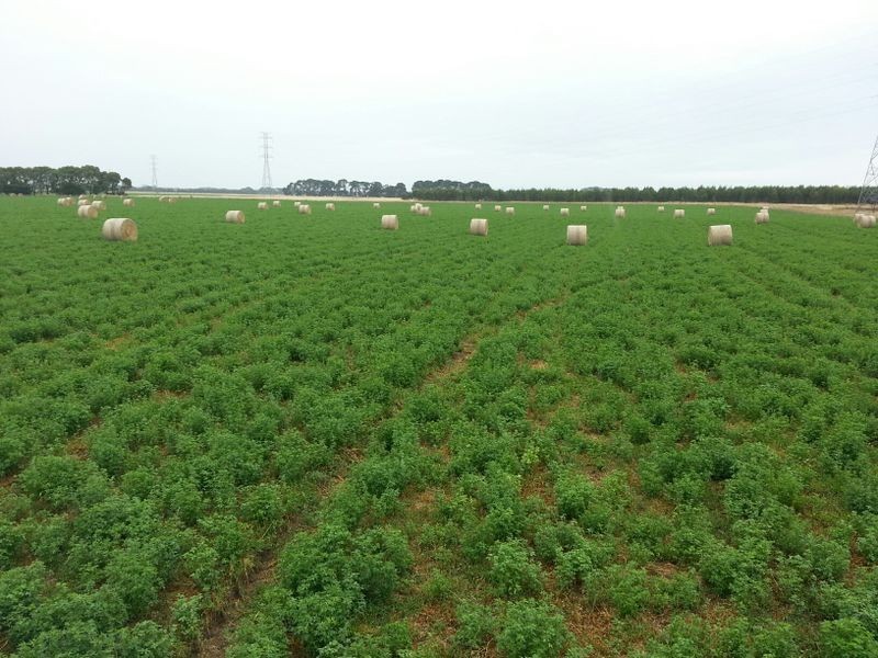 Clover Estate Rd Leech Rd & Red Hill Rd, Mingbool SA 5291