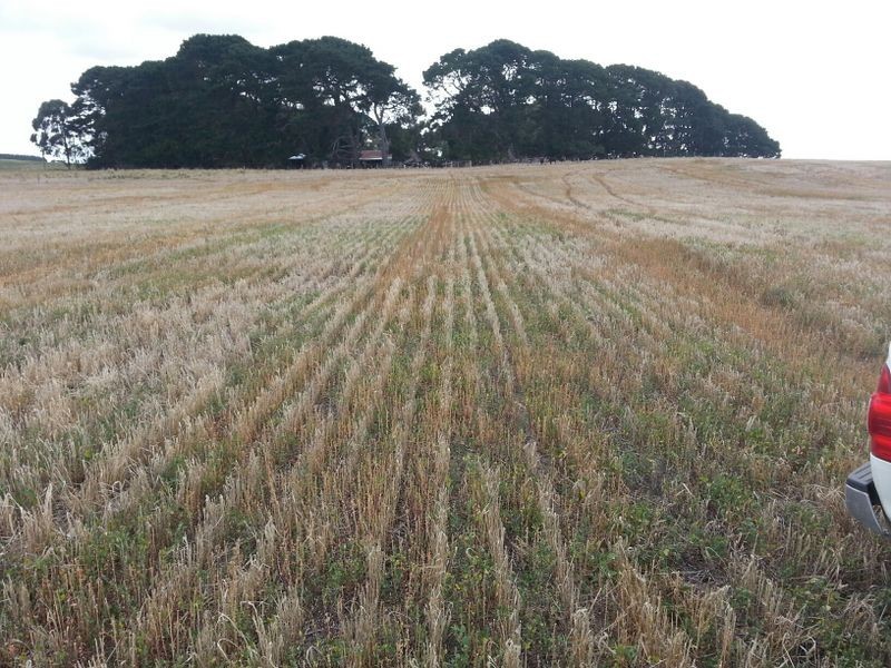 Clover Estate Rd Leech Rd & Red Hill Rd, Mingbool SA 5291