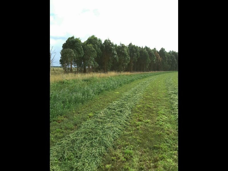 Clover Estate Rd Leech Rd & Red Hill Rd, Mingbool SA 5291