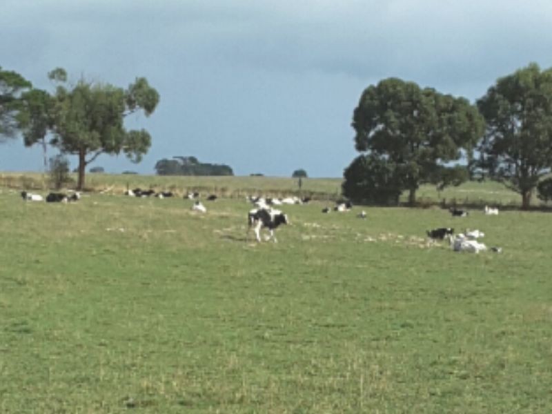 Clover Estate Rd Leech Rd & Red Hill Rd, Mingbool SA 5291