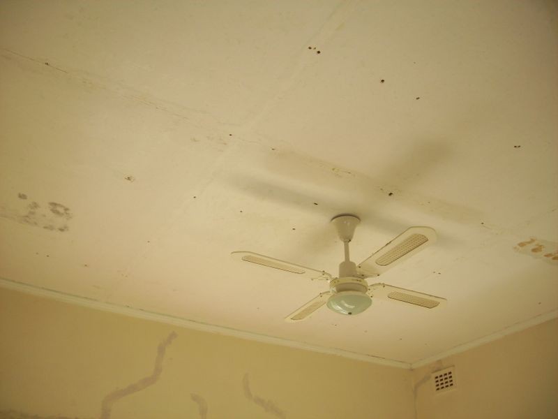 1 Reginald Street, Mount Gambier SA 5290