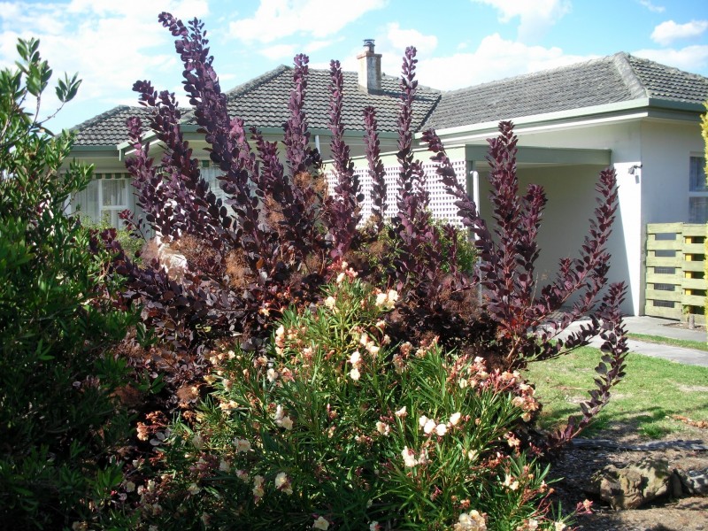 2 Swallow Drive, Mount Gambier SA 5290