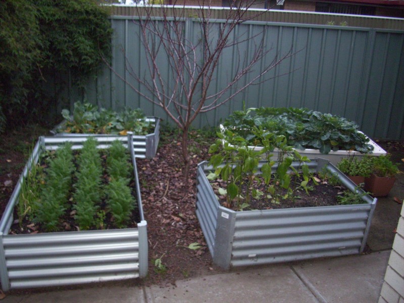 38 Derwent Court, Mount Gambier SA 5290