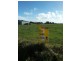 Lot 6 Eumerella Street, Mount Gambier SA 5290
