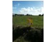 Lot 6 Eumerella Street, Mount Gambier SA 5290