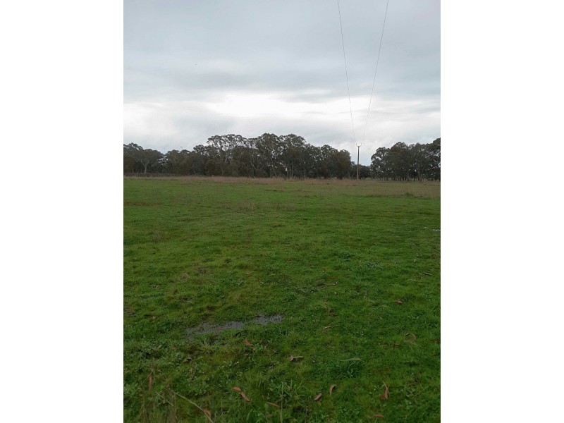 16663 Riddoch Highway, Penola SA 5277