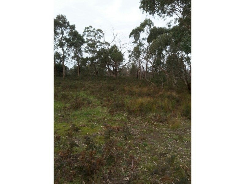 16663 Riddoch Highway, Penola SA 5277