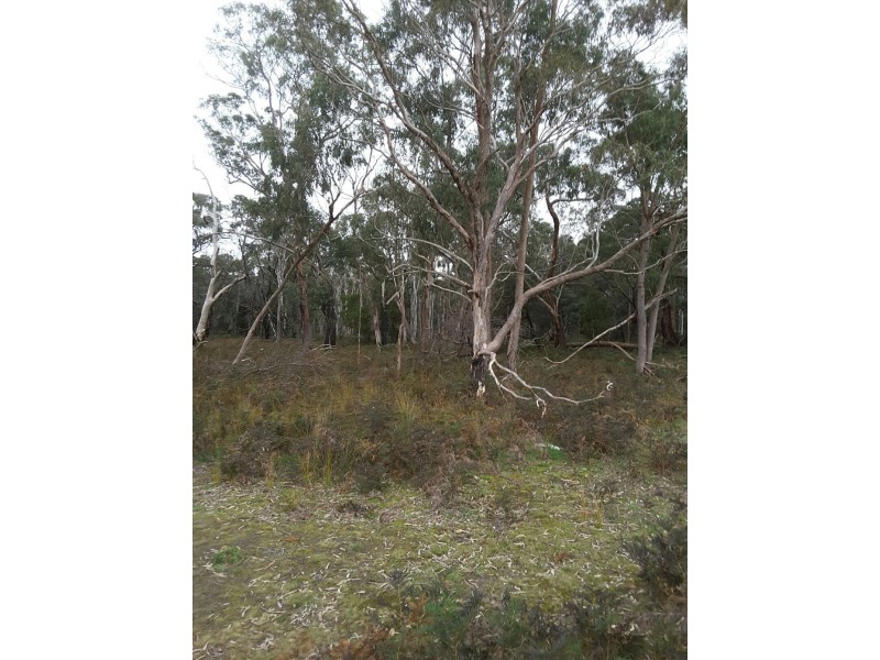 16663 Riddoch Highway, Penola SA 5277