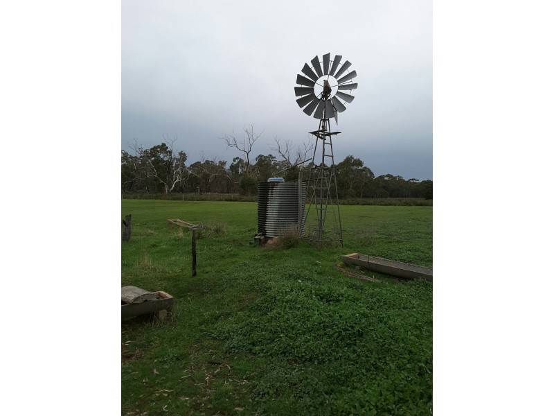 16663 Riddoch Highway, Penola SA 5277