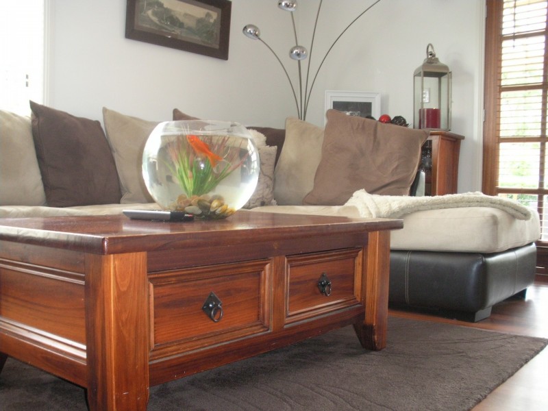 34 Hastings Avenue, Mount Gambier SA 5290