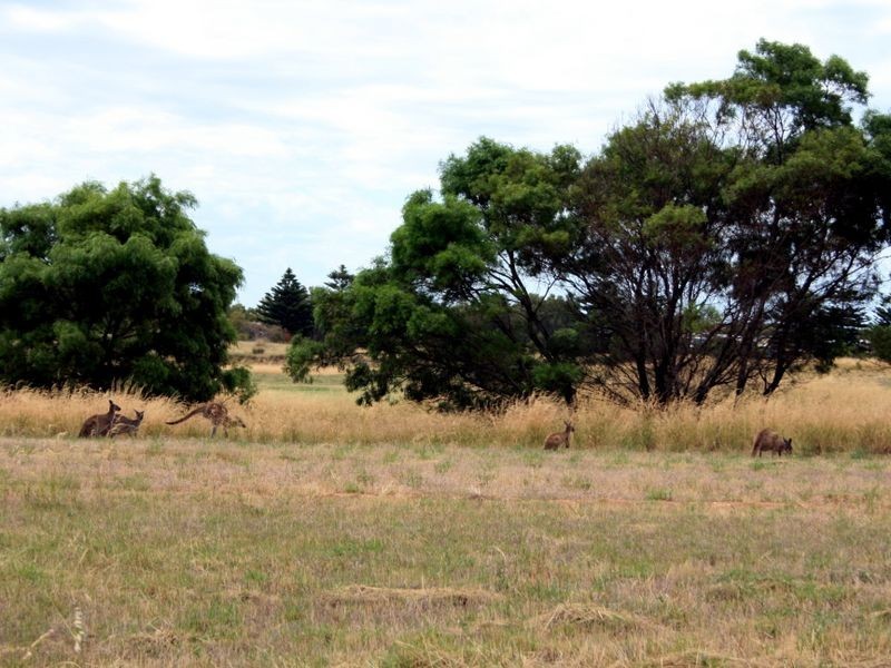 57/ Troon Drive, Normanville SA 5204