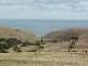 Sec 1105 Main South Road, Cape Jervis SA 5204