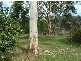 Lot 101 Michael Street, Yankalilla SA 5203