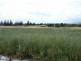 Lot 206 The Vines, Normanville SA 5204