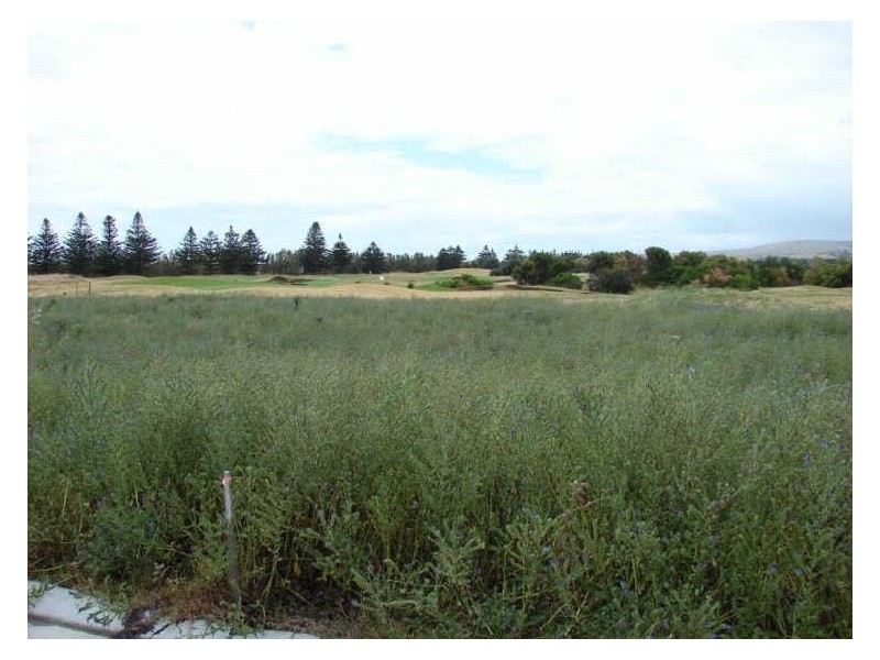 Lot 206 The Vines, Normanville SA 5204