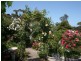 6 Panorama Crescent, Normanville SA 5204