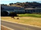 66/ Troon Drive, Normanville SA 5204