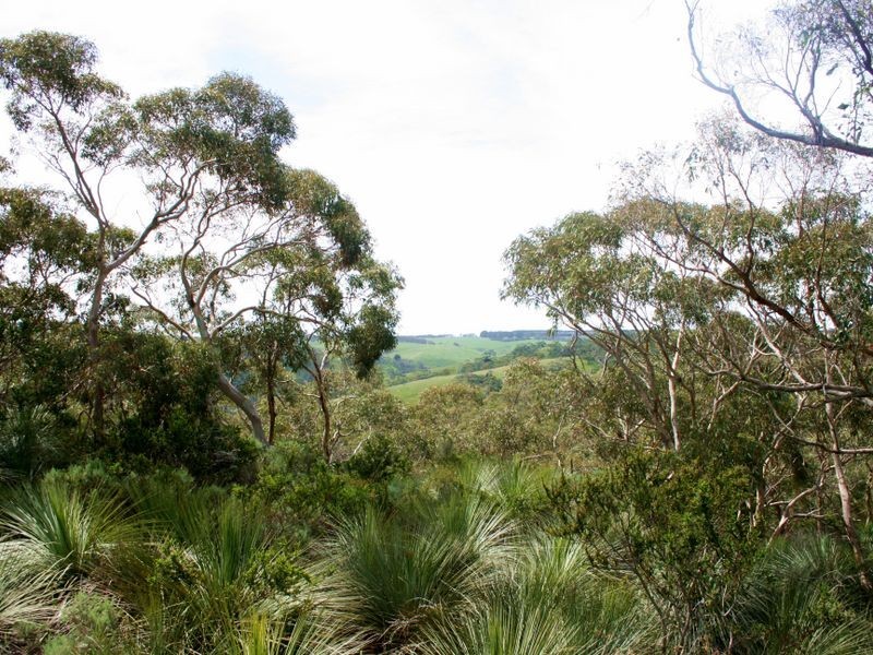 Lot 1 Blow Hole Beach Road, Cape Jervis SA 5204