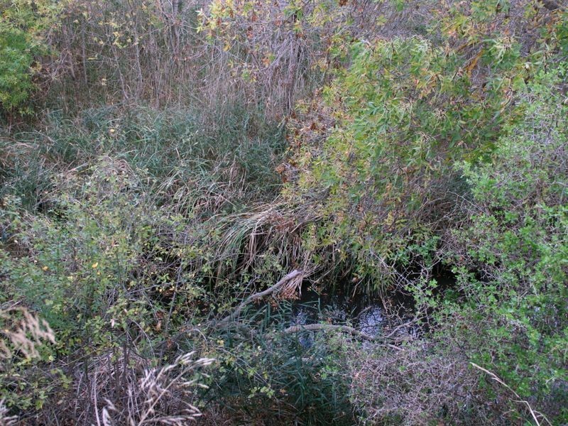 Lot 10 Main South Road, Normanville SA 5204