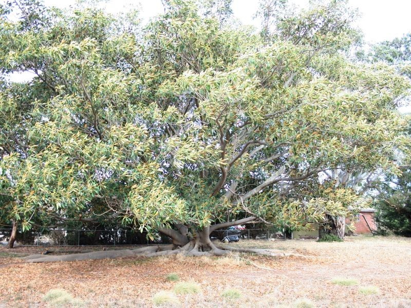 Lot 10 Main South Road, Normanville SA 5204