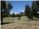 367/ Bedlam Flat Road, Delamere SA 5204