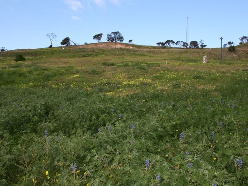 209/ Birkdale Street, Normanville SA 5204