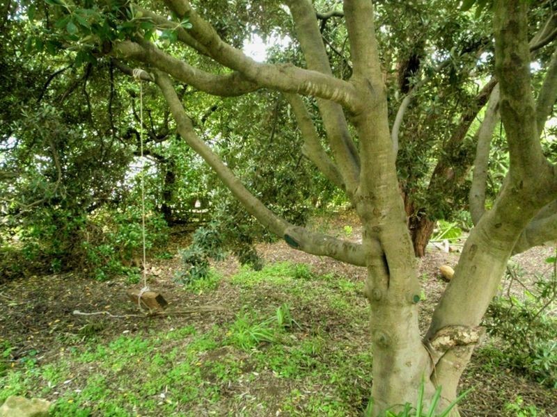 56 Main Street, Yankalilla SA 5203