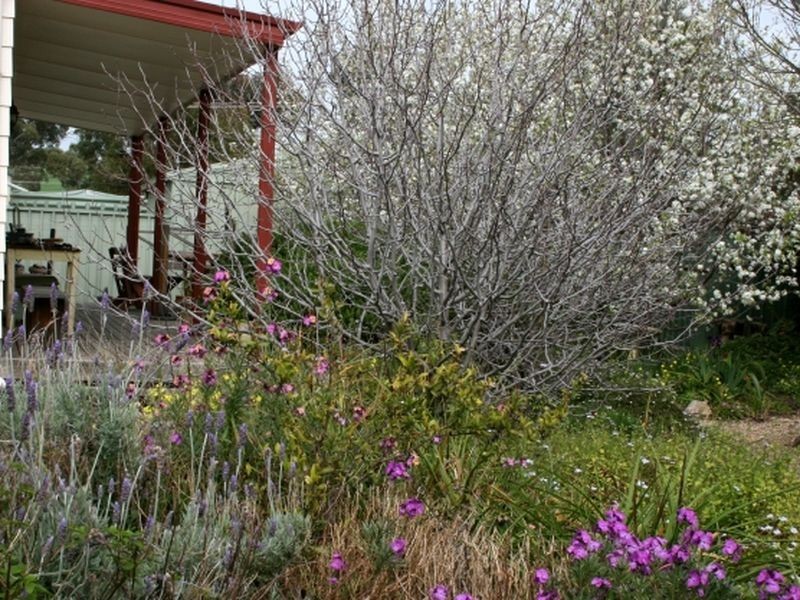 4 Glebe Avenue, Yankalilla SA 5203