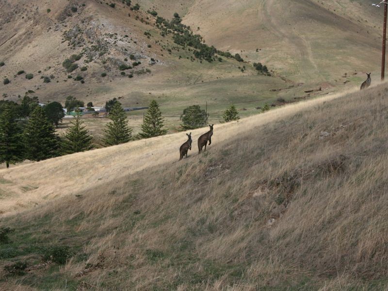 Lot 1 Rapid Bay Road, Rapid Bay SA 5204