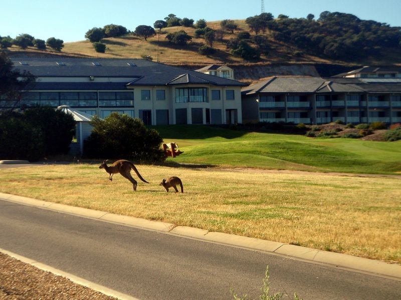 29/45 St Andrews Boulevard, Normanville SA 5204