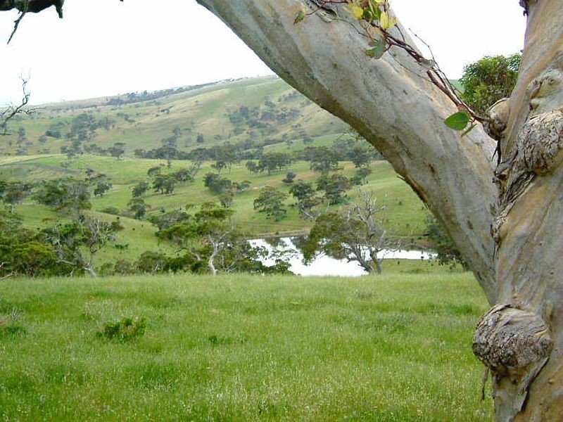 8/ Sappers Road, Cape Jervis SA 5204