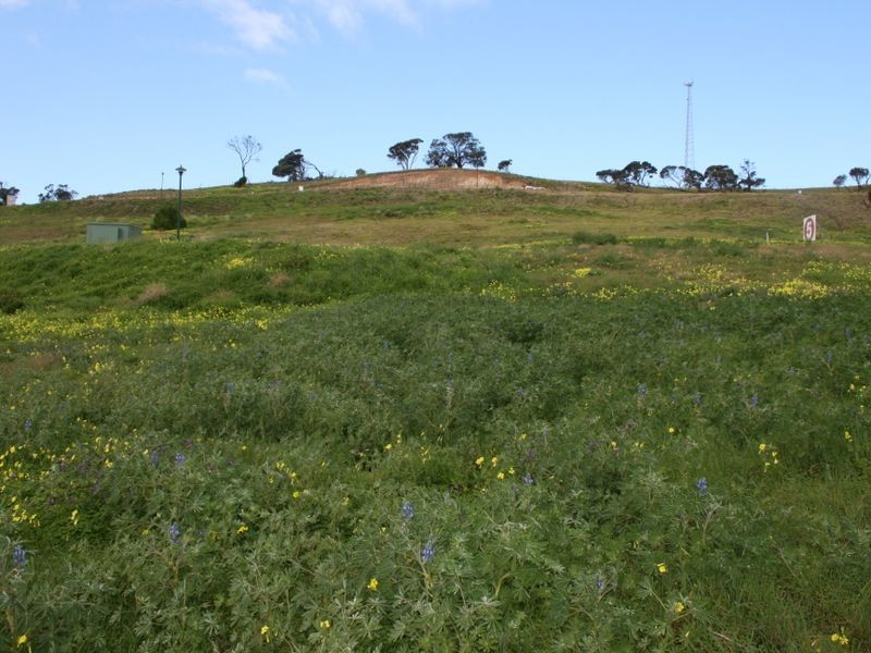 208/ Birkdale Street, Normanville SA 5204