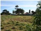 97/ Sophia Court, Normanville SA 5204