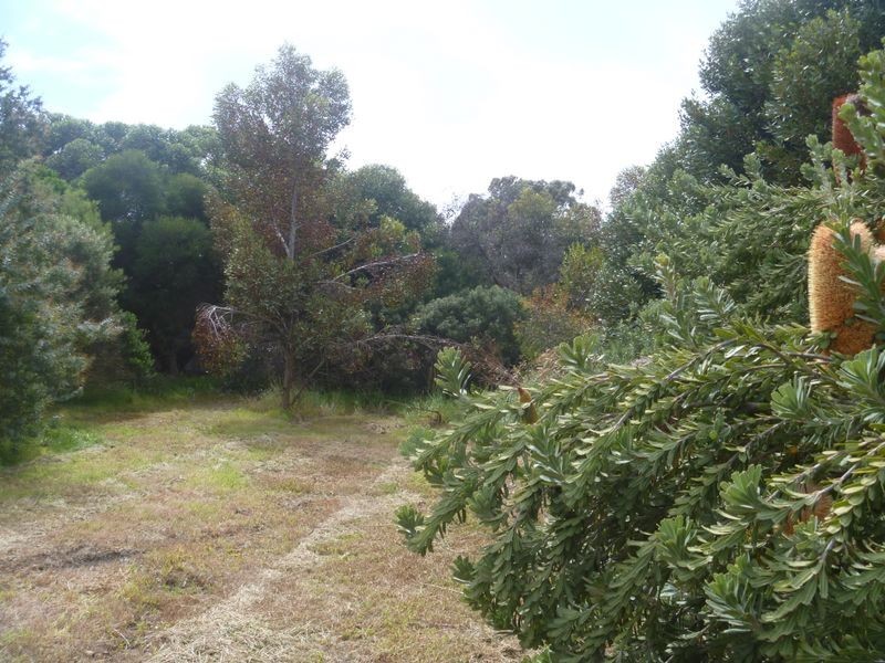 246/ Taronga Crescent, Carrickalinga SA 5204