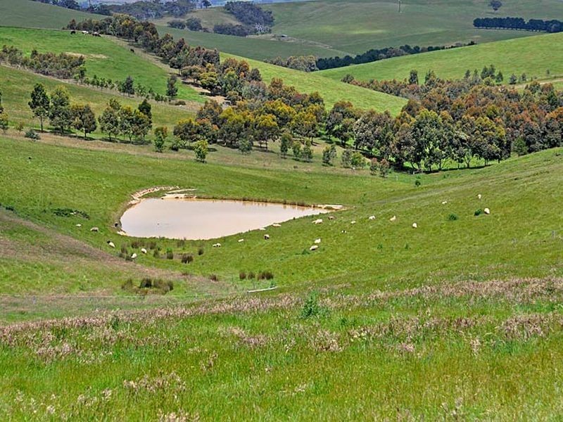 418 Louds Hill Road, Pages Flat SA 5172