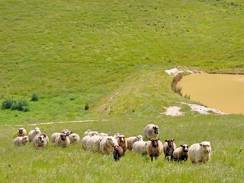 418 Louds Hill Road, Pages Flat SA 5172