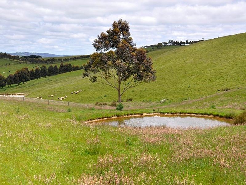 418 Louds Hill Road, Pages Flat SA 5172