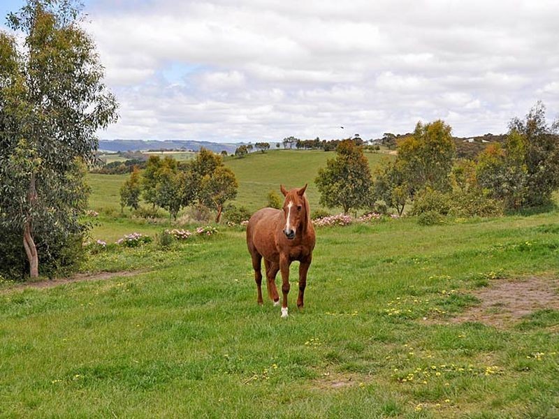 418 Louds Hill Road, Pages Flat SA 5172