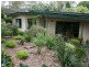 10 Corella Avenue, Glenalta SA 5052
