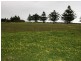 701/ Williss Drive, Normanville SA 5204
