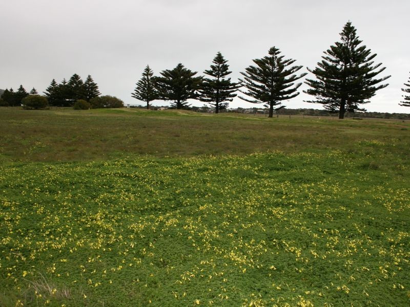 701/ Williss Drive, Normanville SA 5204