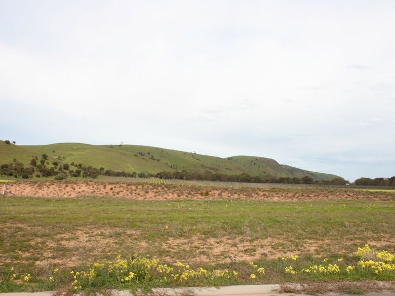 57/ Troon Drive, Normanville SA 5204