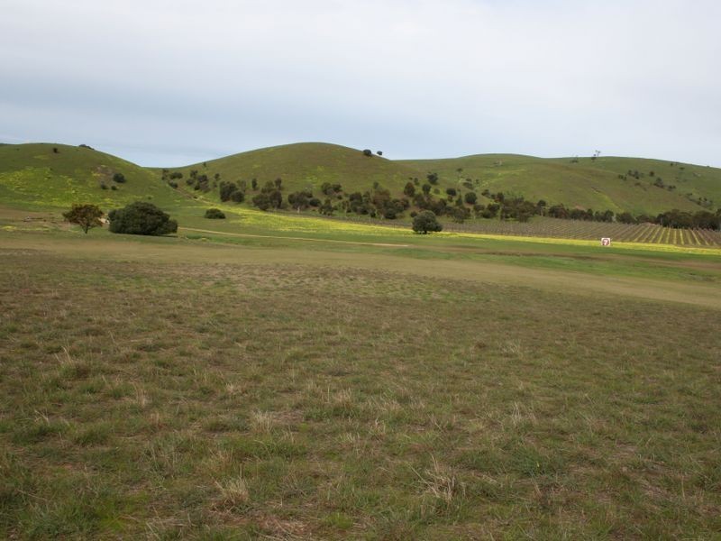 57/ Troon Drive, Normanville SA 5204